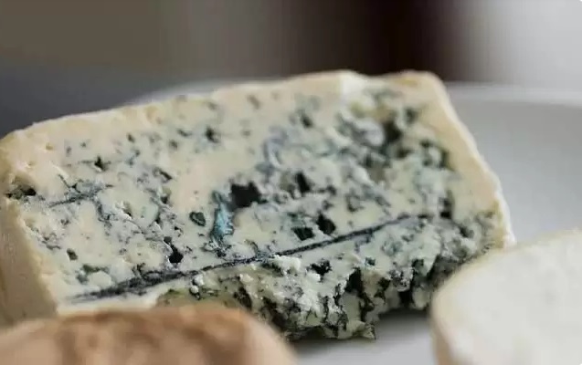 علت کپک زدن پنیر در یخچال